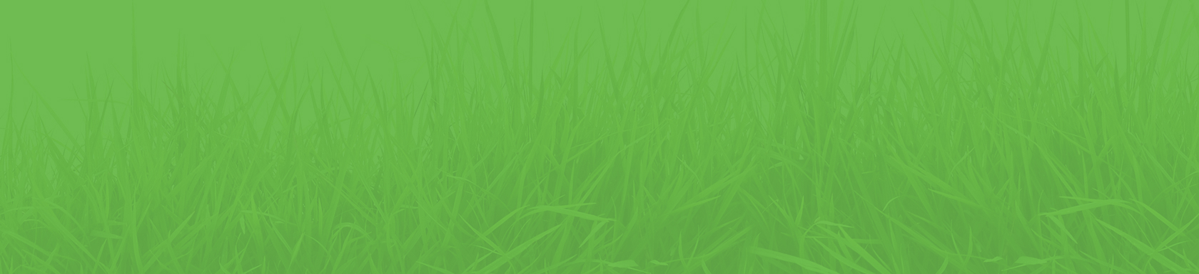 background image of grass